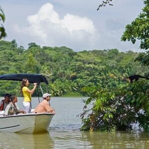 MONKEY ISLANDS