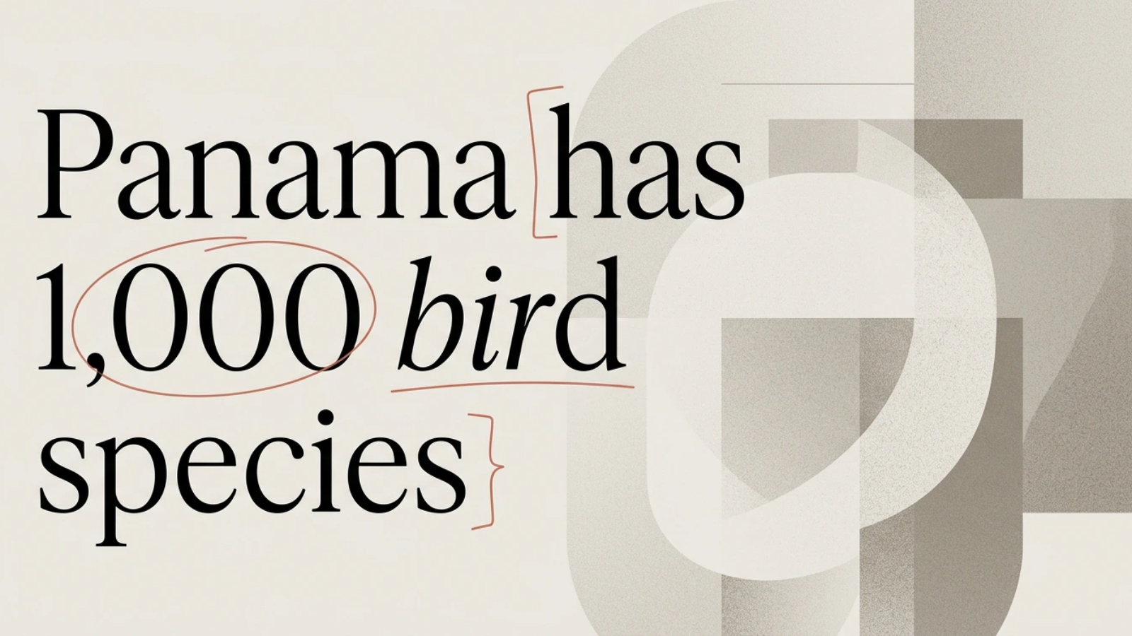 Panama Bird Watching Tours: Where & What to See