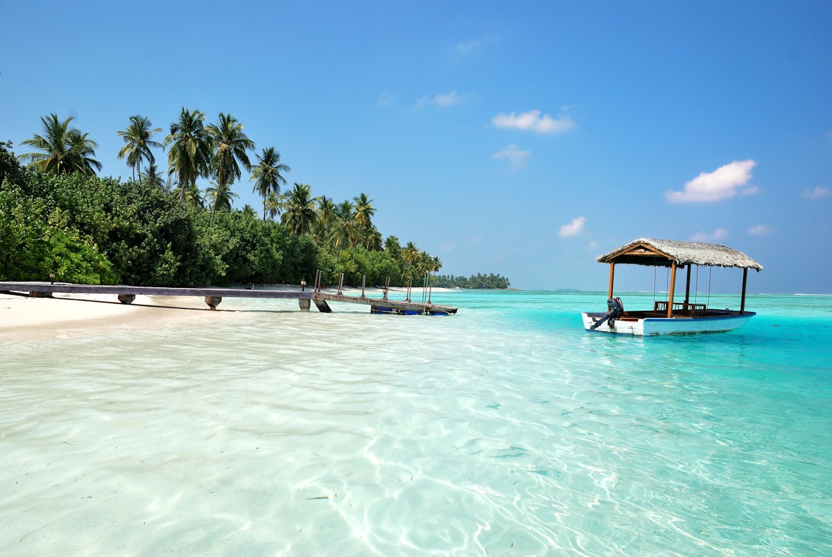 Traditional wooden canoe resting on a white sand beach with tropical palm trees in the background